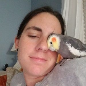 Meet your Posher, Carissa
